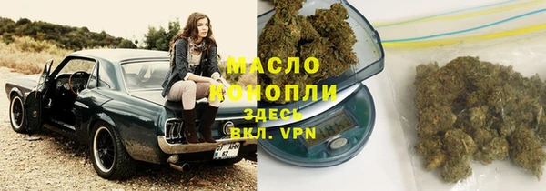 сатива Кукмор