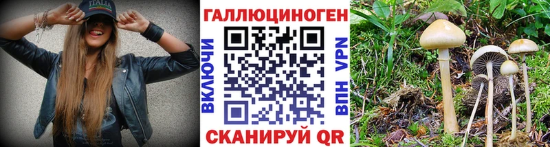 мориарти формула  Медногорск  Галлюциногенные грибы ЛСД 