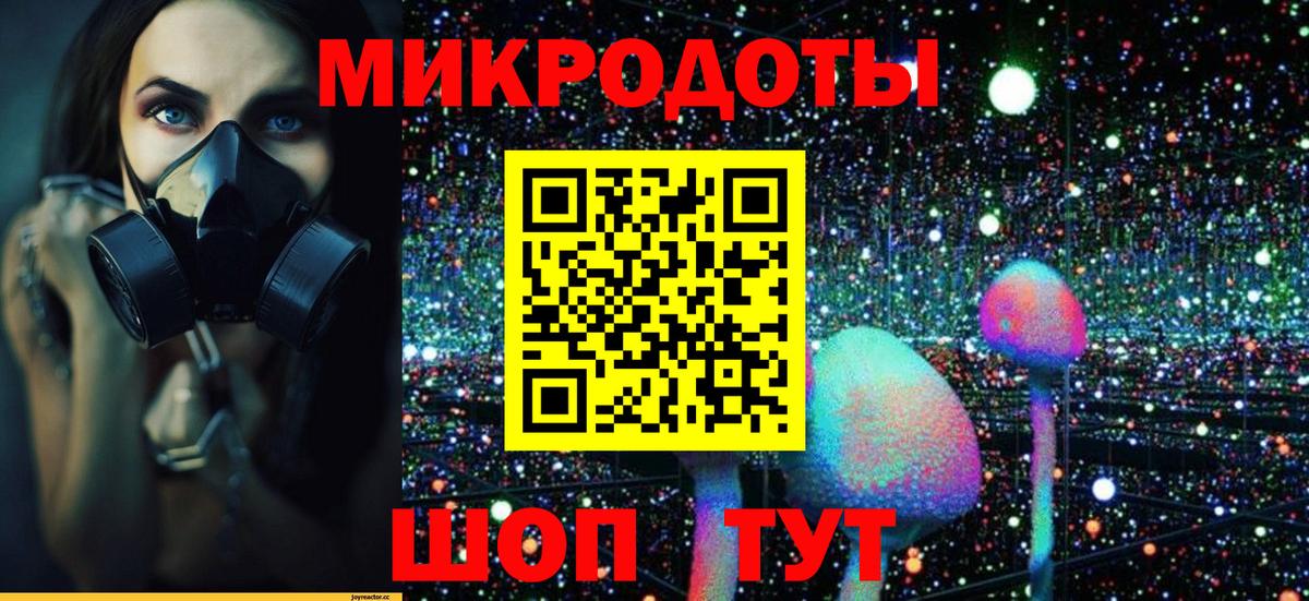 Псилоцибиновые грибы Cubensis Медногорск