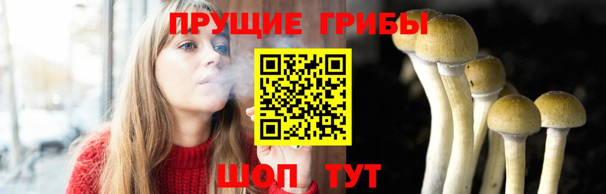 Медногорск  Псилоцибиновые грибы Psilocybe  Псилоцибиновые грибы Magic Shrooms  Вход с VPN 